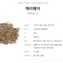 씨드(SeeD) 이미지