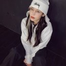 제노젠 이미지