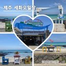 세화환승정류장 | 제주 동쪽 명소 세화민속오일장 시간 날짜 맛집 세화해수욕장 해변 주차