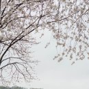 청안보건지소 이미지