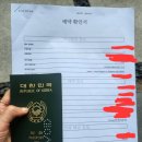 수정고등-D-5 | C1/D 비자 인터뷰 준비 방법 + 후기