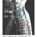 신평 무예킥 네이버블로그