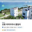 강릉펜션 오션뷰 라미아까사 내돈내산 솔직후기
