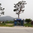 지리산둘레길 22코스(주천-밤재) 이미지