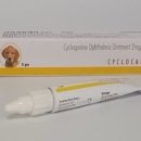 백일온누리약국 이미지