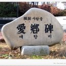 풍동 당산목 및 산치성 이미지