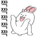 올포카 이미지