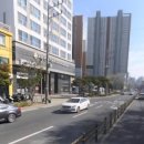 덕포약국 네이버블로그