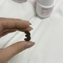 댕댕케어 | 뉴트리댕댕 관절 집중케어 내돈내산 후기