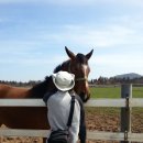 녹원목장 이미지