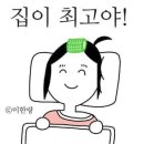 리딩펫 | 과연 솔로탈출을 할 수 있을 것인가 사주리딩 현실적 후기