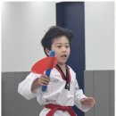 고려태권도 이미지