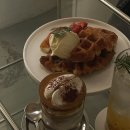 카페레벨로즈