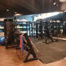 휘트니스88 이미지