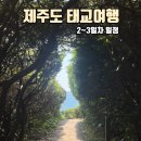 [제주도여행] 5월, 23주차에 떠난 제주도 4박5일 태교여행 - 2,3일차