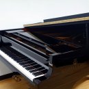 김용걸 김보람의 BOLERO 이미지