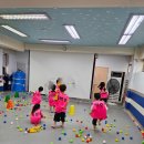 경희대 석사 백호 태권도장 이미지