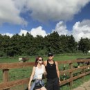 가오목장 이미지