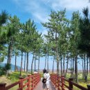 별빛나라펜션2관 | 영덕가볼만한곳, 가족여행 추천 장사해수욕장·삼사해상산책로·비프리비펜션까지