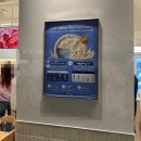 메르시미도아파트 앞 | 위례 신상 벤슨 위례점 아이스크림 맛집 후기(아이스크림 7종 솔직 후기)