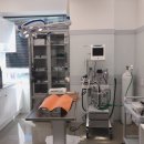 사랑실천동물병원 이미지