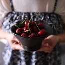 샐러드웨이브 이미지