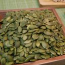 쪽빛