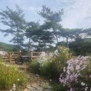 비담집 이미지