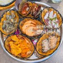 진미실내포차&촌국수 | 잠실새내 해산물 포차 연화리해녀촌 잠실본점 부산 기장의 맛과 분위기를 그대로
