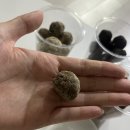 콩이랑 초이랑 | [맛집탐방] 강남 신세계 스위트파크 팝업 :: 유튜버 시녕님 픽 강릉 카페초이 콩볼 3종 후기 냠냠