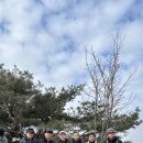 꼬뚜레