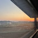 힐링인더삽교 | [당진] 삽교호 근처 일출과 일몰이 예쁜 신축펜션 &#34;힐링인더삽교&#34; /삽교호놀이동산/삽교호어시장/당진여행