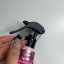 다이소 헤어미스트 추천 “엘라스틴 카멜리아 블랙 헤어워터 트리트먼트”