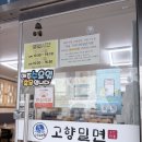 고향맛 | 경주 대릉원 맛집 고향밀면 본점 주말 오픈런 웨이팅 메뉴판 맛 후기