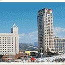돌배나무세그루 이미지