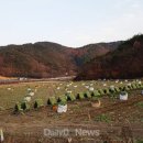 천지댁갑산댁영농조합법인 | 안동시, 마을기업 육성·지원으로 농촌 경쟁력 향상