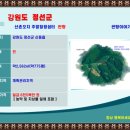 복福부동산공인중개사사무소 | #정선토지매매 #농막주택매매 청정계곡 접하고 백운산 조망되는 강원도 정선군 신동읍 운치리 두메산골...