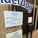 킨더독 이미지