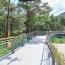 설악스카이 이미지