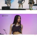 시카고라이브