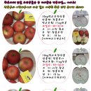 에스에스몰 이미지