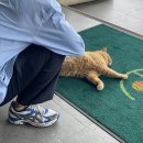 자연에 | 애월 노을리카페 식물과 자연에 둘러싸인 힐링 후기