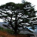 송전마을(송전) 이미지