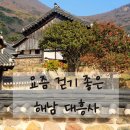 대흥사 | 지금 가기 좋은 동백 관광지: 해남 대흥사 동백길 산책 후기