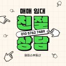 원피스공인중개사사무소 이미지