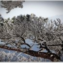 1/23(토)[100대명산 7번째 눈꽃산행지-"장성 백암산"으로 급변경]-계룡산 이미지