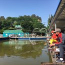 캠피그라운드 이미지