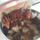 102달팽이농장
