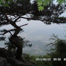 서대산 추모공원 이미지