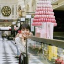 아리무라 카스미 카카오 검색결과